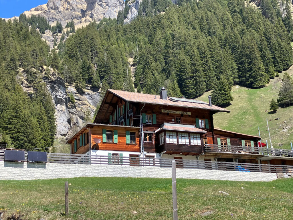 Golderli2